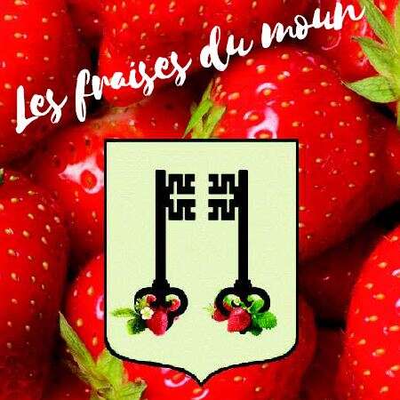 Moun Strawberries