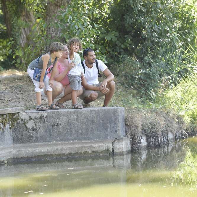 Estanque de Massy