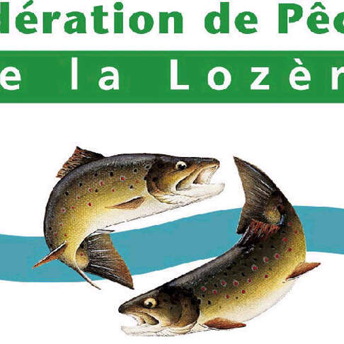 FÉDÉRATION DÉPARTEMENTALE DE LA PÊCHE