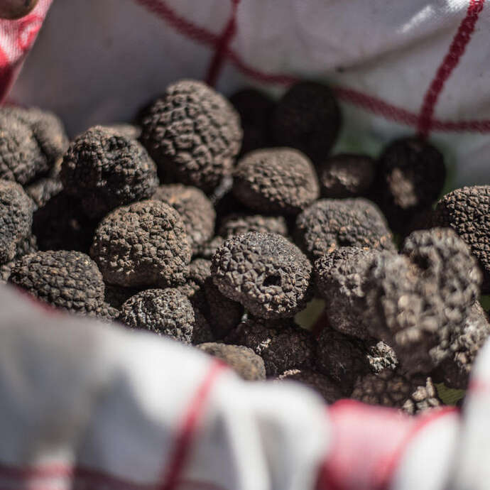 Marché aux Truffes Marché aux Truffes