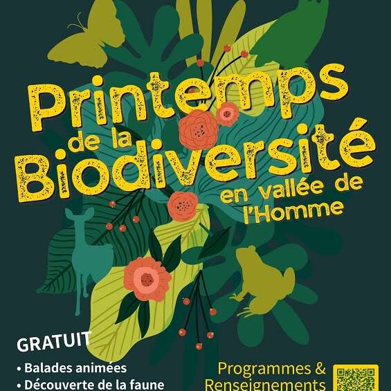 Printemps de la biodiversité en vallée de l'Homme - Ciné-débat - L'appel des libellules"