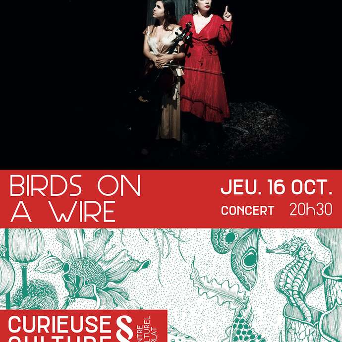 Birds on a Wire