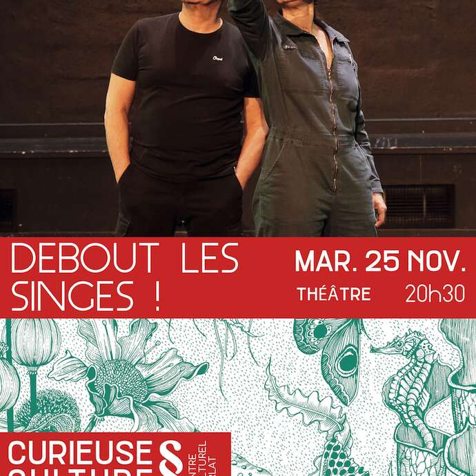 Debout les singes !