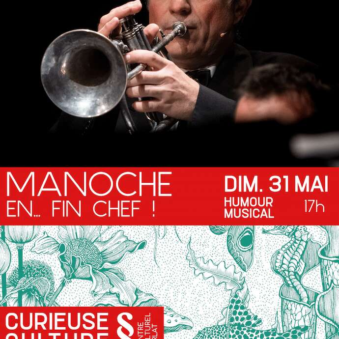MANOCHE EN...FIN CHEF !