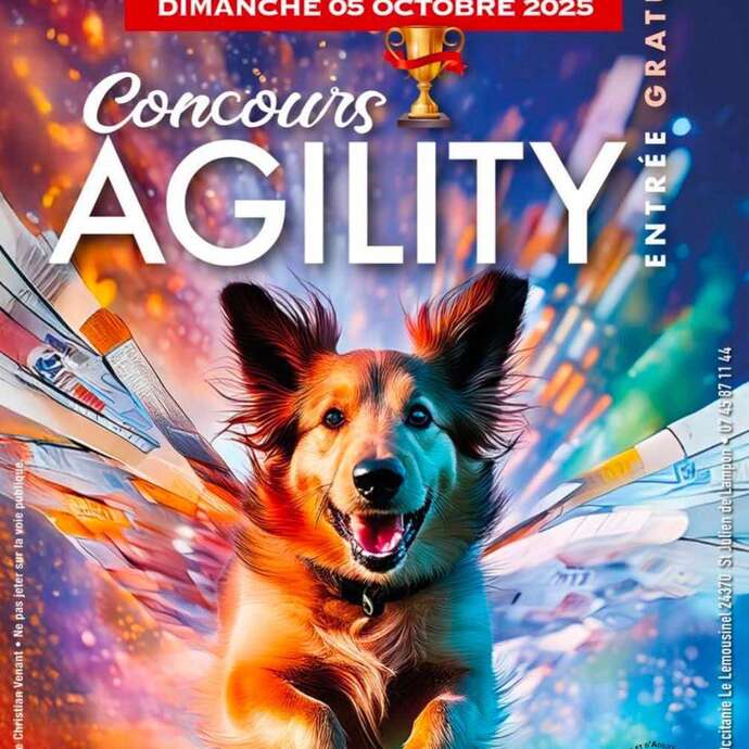 Concours Agility au camping Le Bourniou - Saint Julien de Lampon