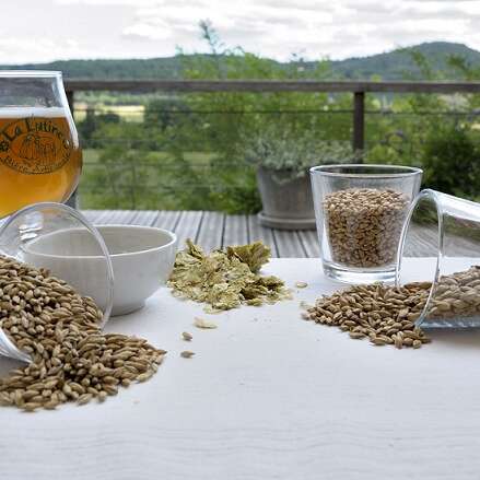 Savoir-faire au rendez-vous : Brasserie la Lutine