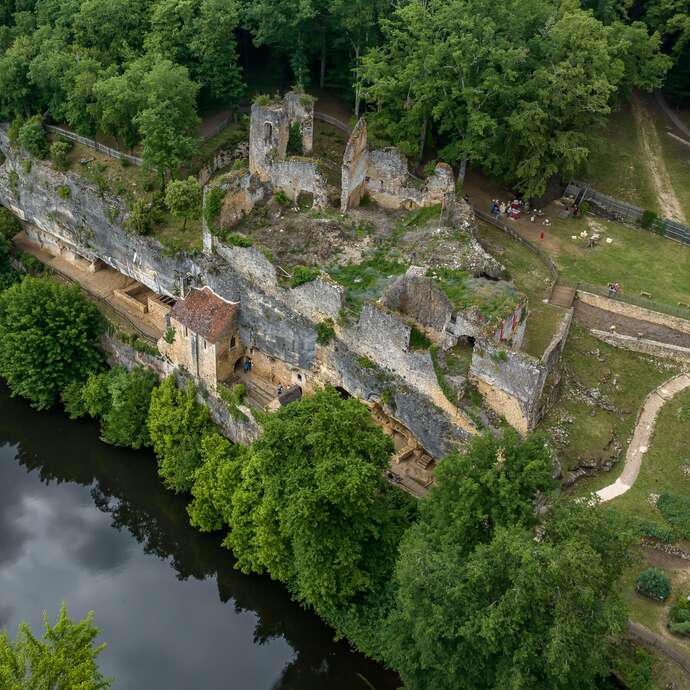 Châteaux en fête - Balade à la découverte des plantes sauvages