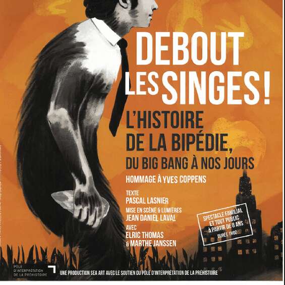 Spectacle - Debout les singes !