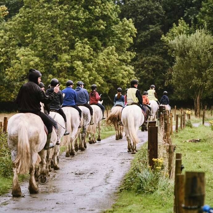 Eté actif 2026 : Equitation, balade en poney