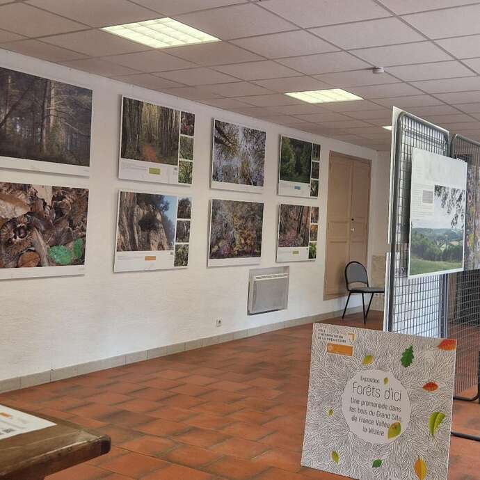 Exposition - Forêts d'ici