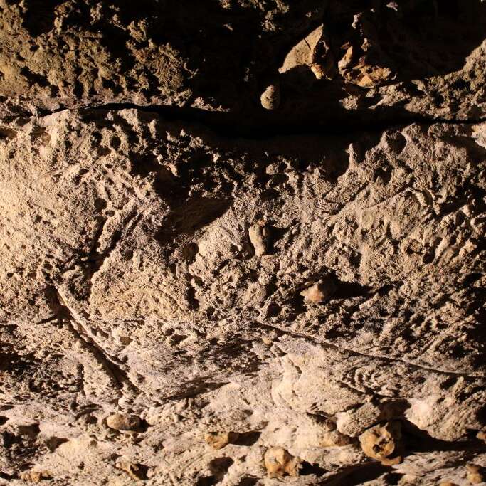 Grotte de Bara Bahau - Le Sanctuaire de l'Ours