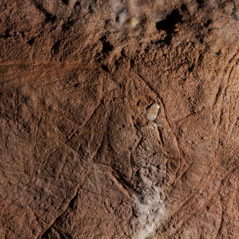 Grotte des Combarelles