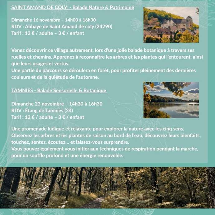 Balade sensorielle & botanique à Tamniès