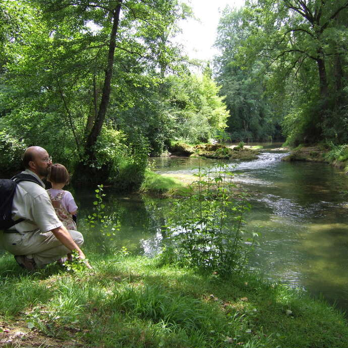 Vallée de la Beune