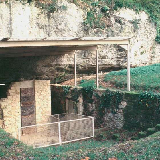 Visite accompagnée du Gisement du Moustier