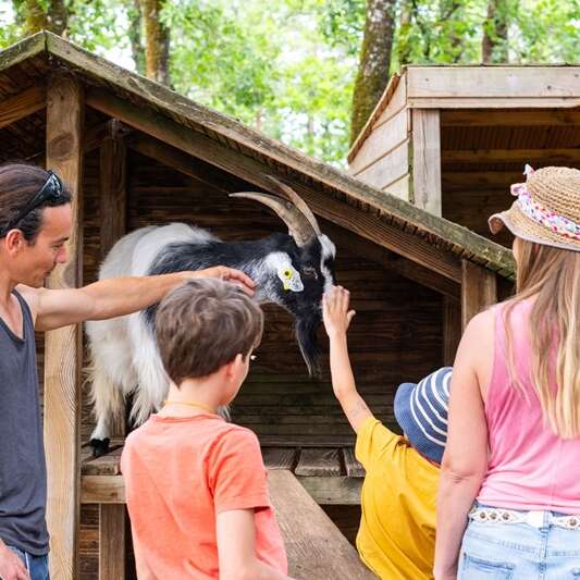 Les vacances d'été au Thot