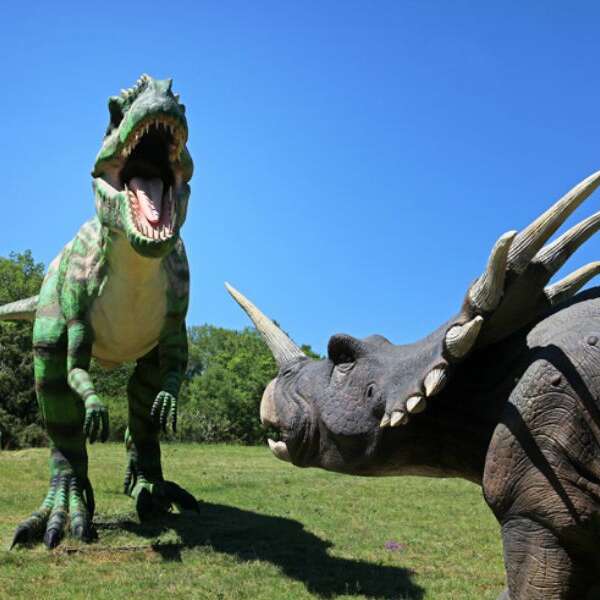 Préhisto-Dino Parc