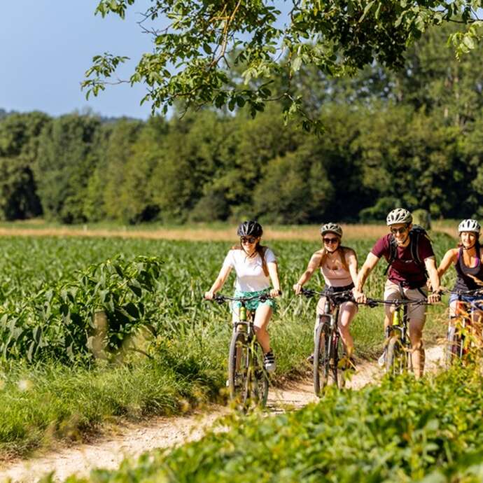 Printemps de la biodiversité - Balade printanière à vélo