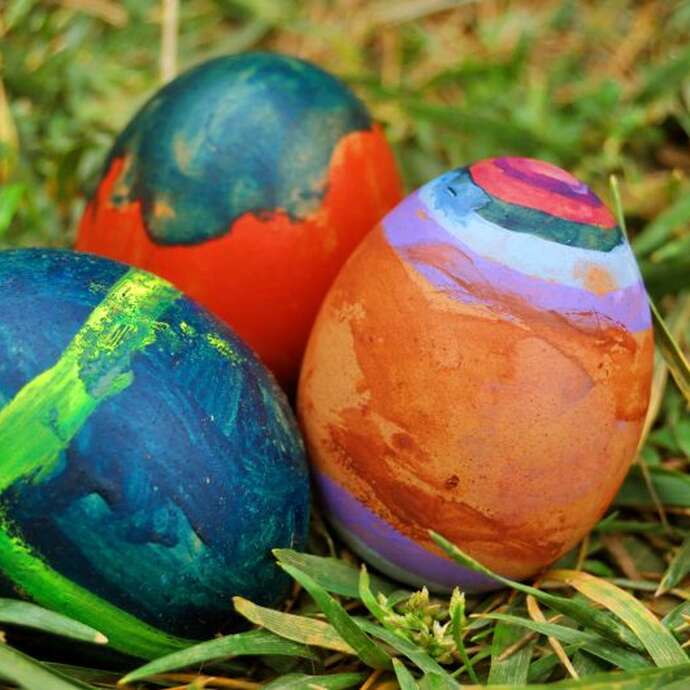 Chasse aux vrais oeufs