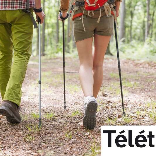 Je marche pour le Téléthon