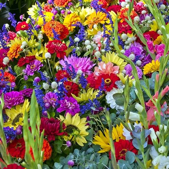 Floralies fête des fleurs