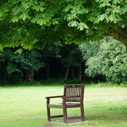 Rendez-vous aux jardins 2025 - Domaine Départemental de Campagne
