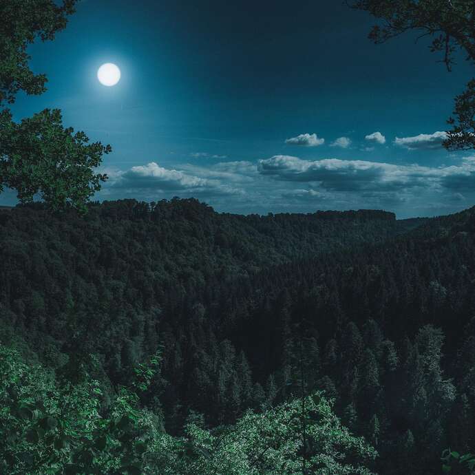 Randonnée Nocturne: Contes au Clair de Lune