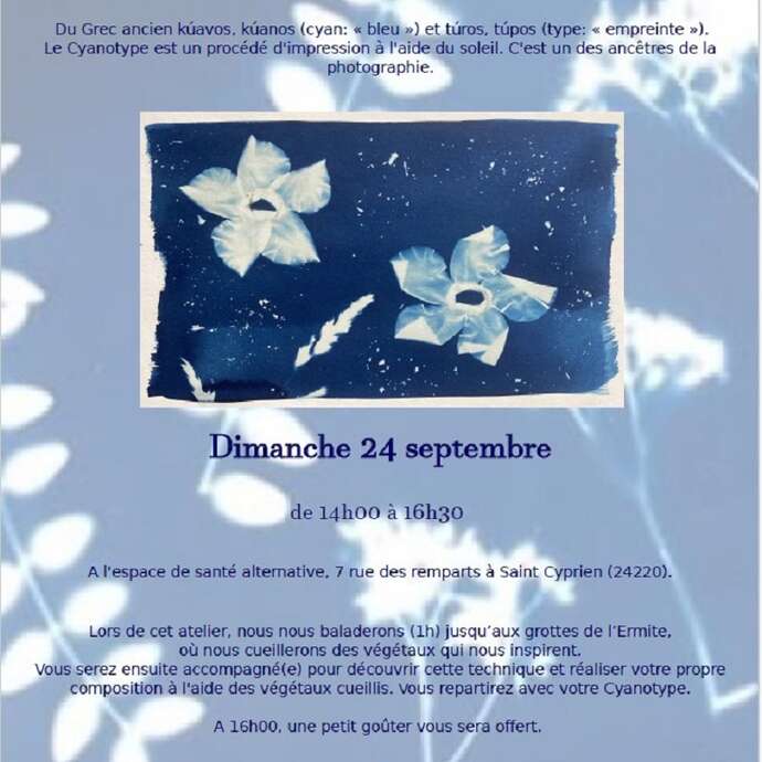 Atelier Cyanotype