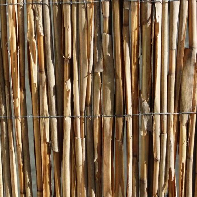 Stage bambou : dôme, arches, mini-zone