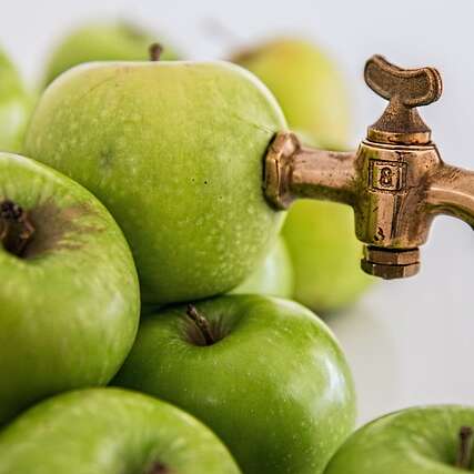 Happy Cultors Belvès : viens faire ton jus de pommes locales!