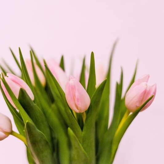 Journée de la femme