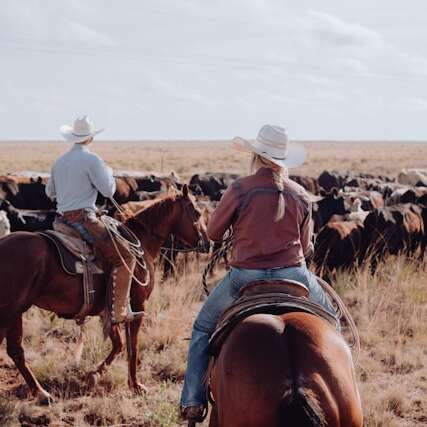 Soirées au Ranch