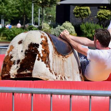 Le Festival fête ses 25 ans