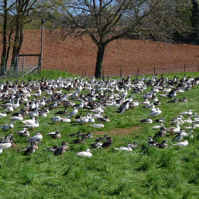 La Ferme de Fages
