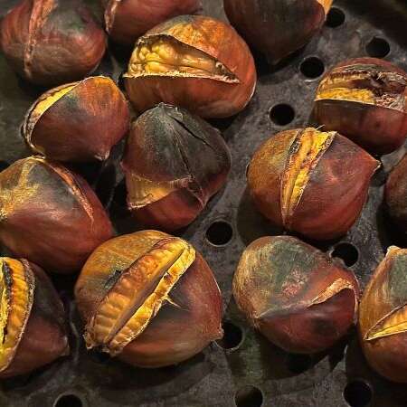 Soirée chataignes et quiz