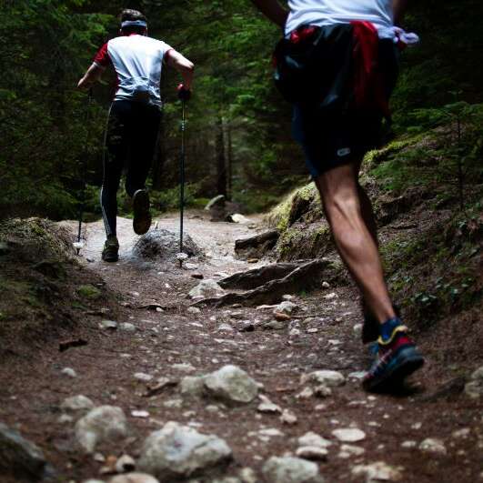 5ème édition du Trail du Platane