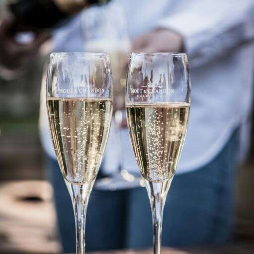 Atelier oenologie : Champagnes et effervescents