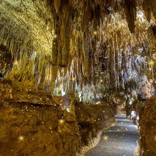 Instants de fées dans la Grotte de Domme