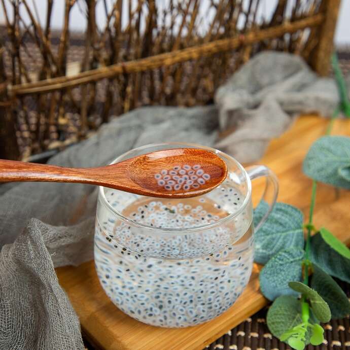 Atelier - Printemps et phytothérapie