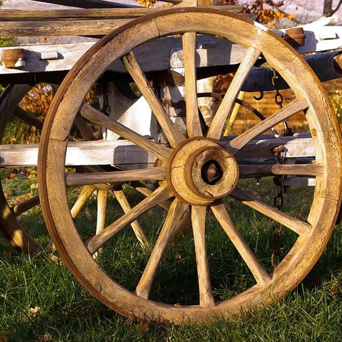 Marché gourmand nocturne bio à la ferme