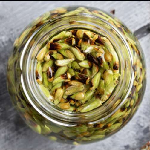 Atelier - Gemmothérapie