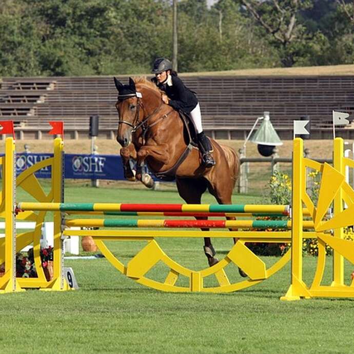 Concours Hippique : Périgord Tour 2026