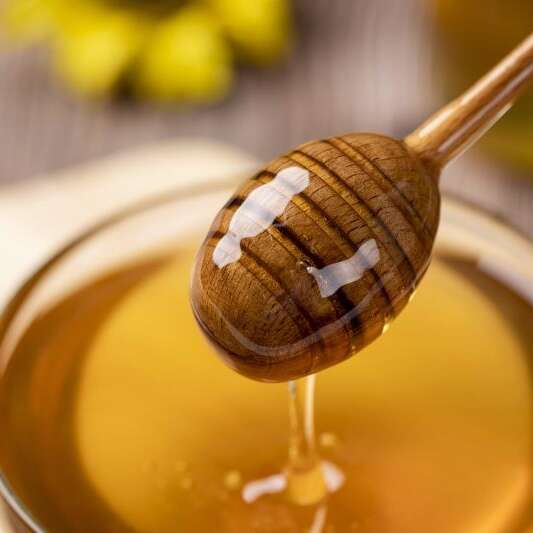 Confrérie du Miel et des Abeilles en Périgord
