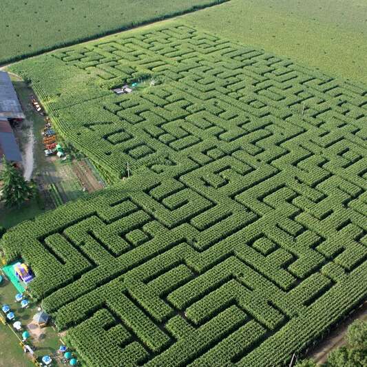 Labyrinthe de l'Ermite