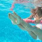 Aquagym