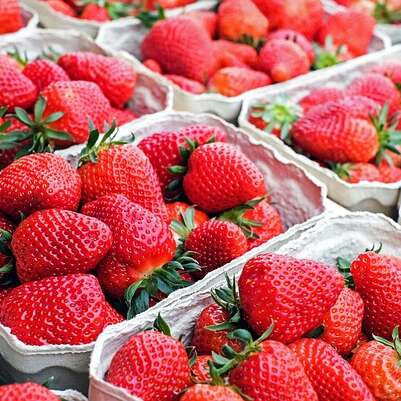 Marché nocturne des Producteurs de Pays de Besse