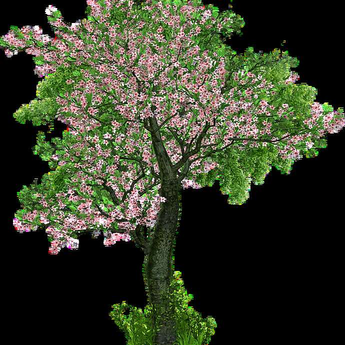 Comme un arbre