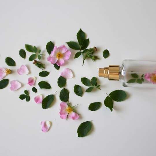 Exposition - Parfums de fleurs