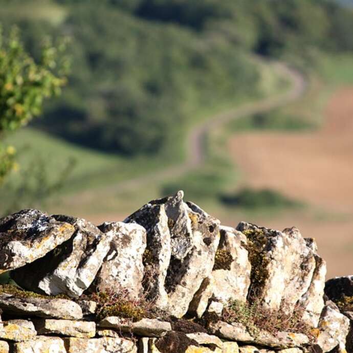 Conférence sur la pierre sèche