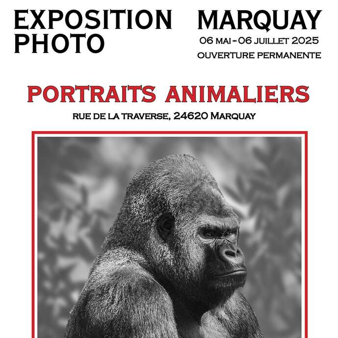 Exposition Georges Bonnet  : Portraits Animaliers